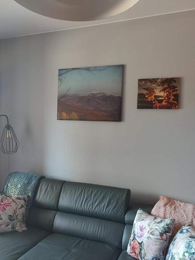 Lux Apartament Odkryj - Bieszczady Устшики-Дольне Экстерьер фото